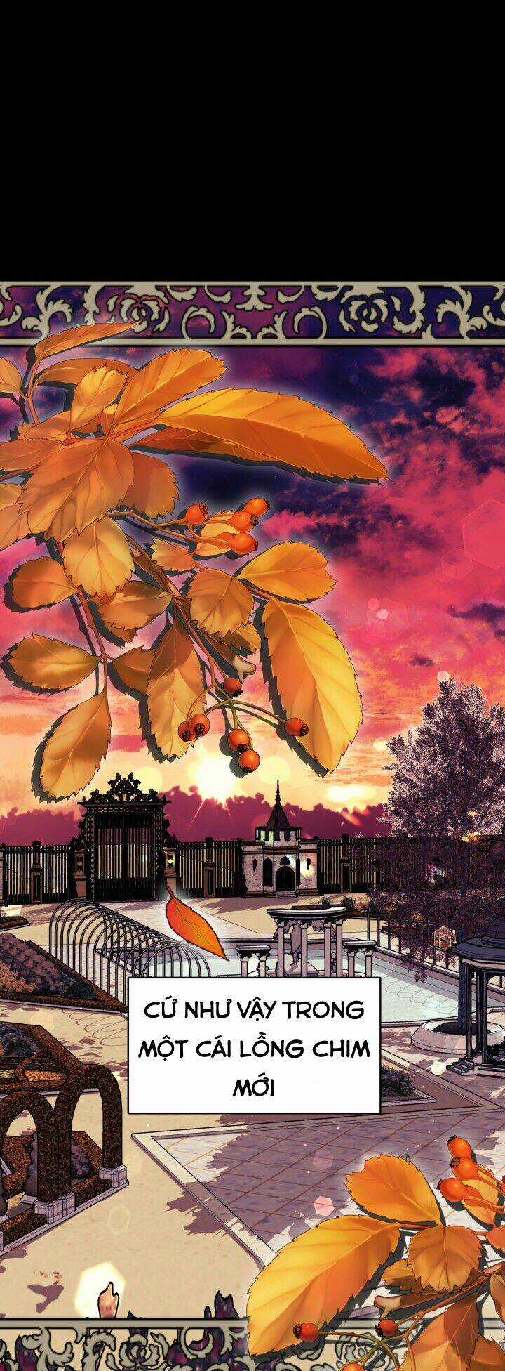 Nam Chính Là Chồng Cũ Của Tôi Chapter 17 trang 8