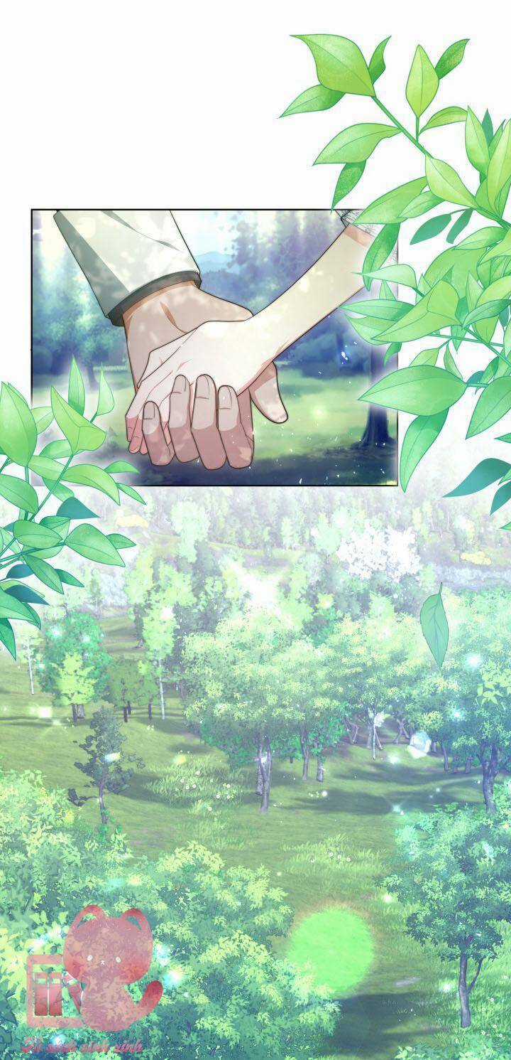 Nam Chính Là Chồng Cũ Của Tôi Chapter 38 trang 12