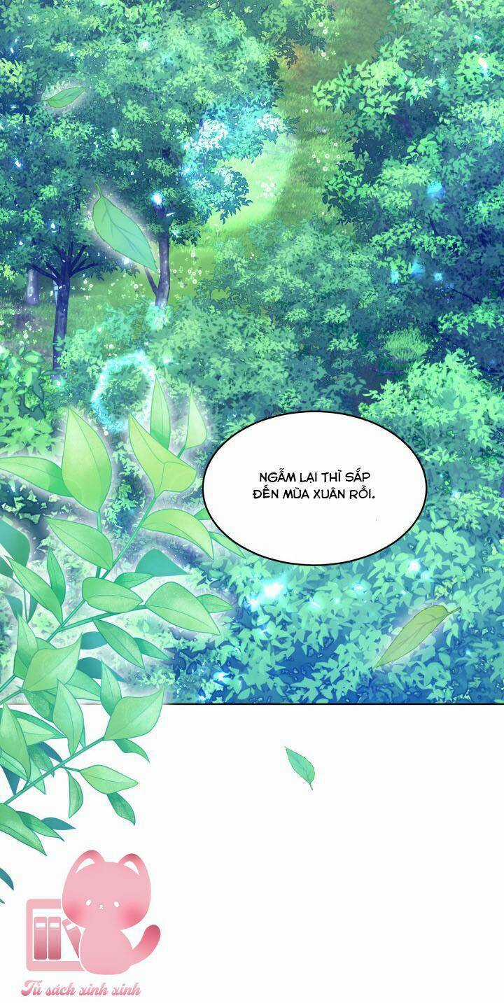 Nam Chính Là Chồng Cũ Của Tôi Chapter 38 trang 13