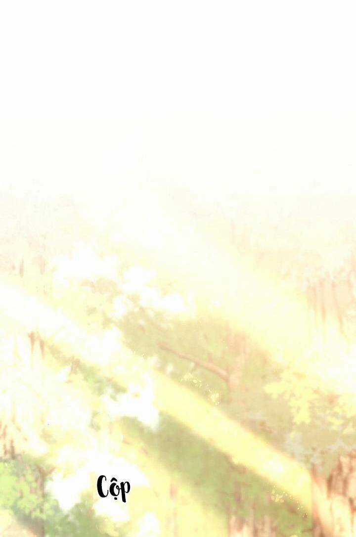 Nam Chính Là Chồng Cũ Của Tôi Chapter 47 trang 3