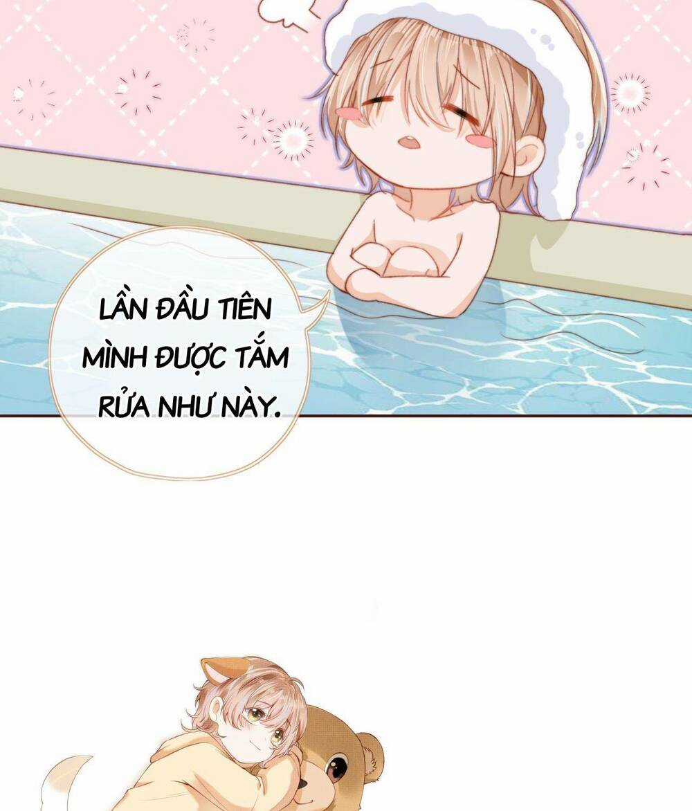 Nam Chính Và Nhân Vật Phản Diện Tôi Nuôi Đều Không Đứng Đắn Chapter 4 trang 51