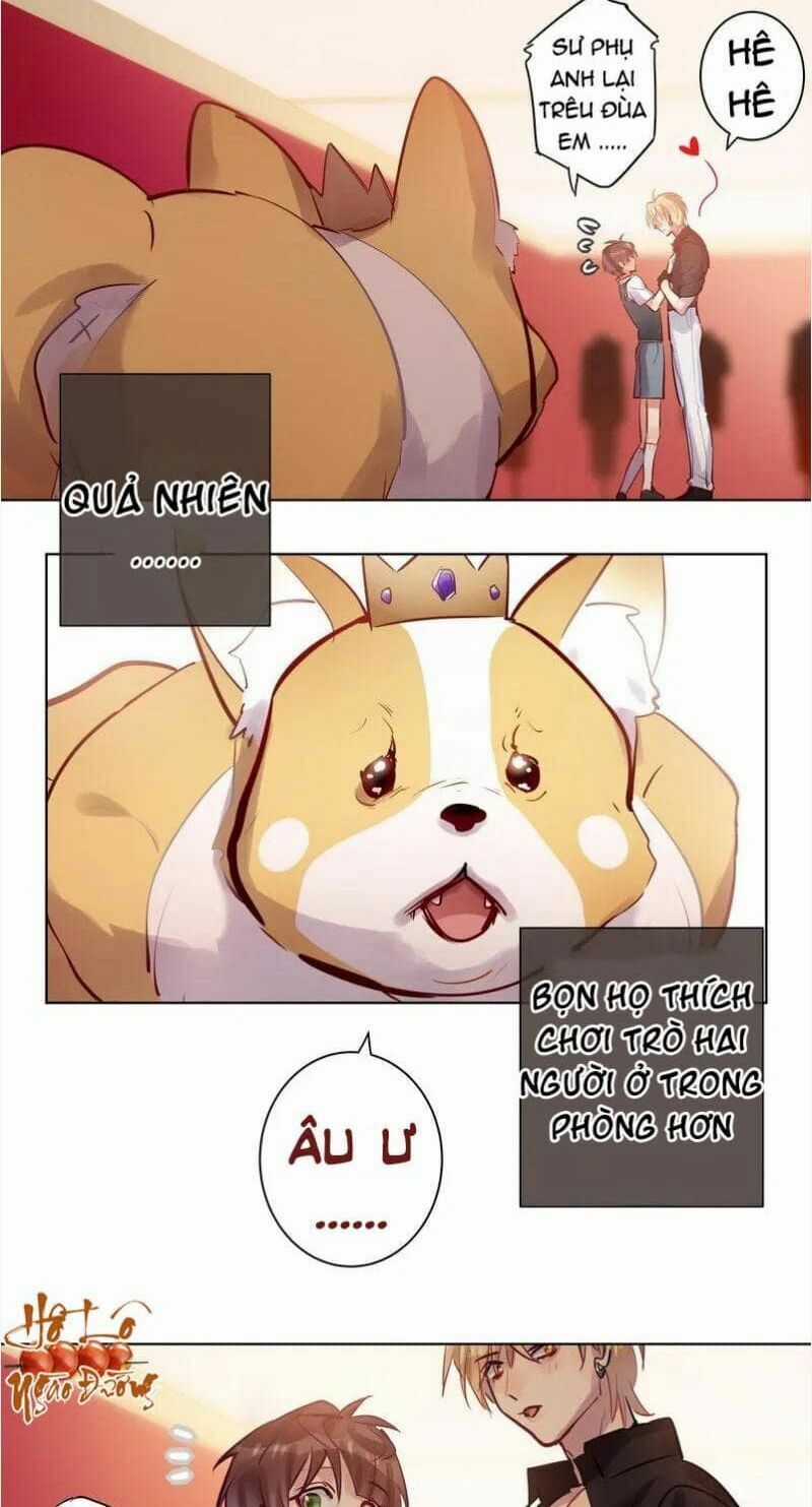 Nam Nhân Này Rất Biết Đùa Chapter 115 trang 14