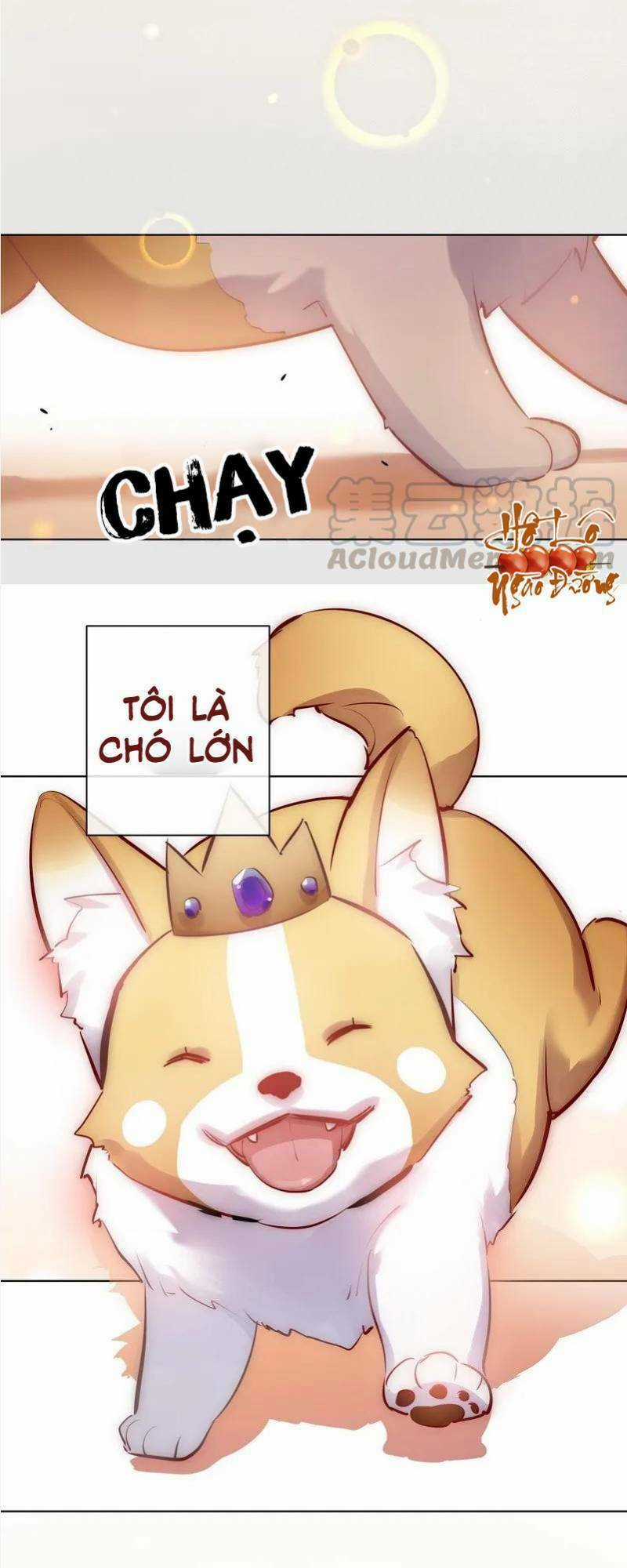 Nam Nhân Này Rất Biết Đùa Chapter 115 trang 16
