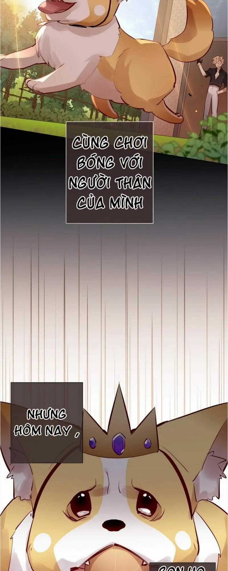 Nam Nhân Này Rất Biết Đùa Chapter 115 trang 4