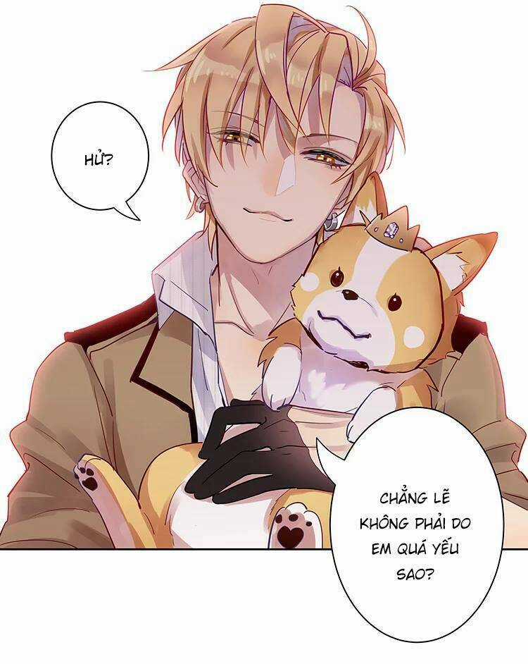 Nam Nhân Này Rất Biết Đùa Chapter 5 trang 4