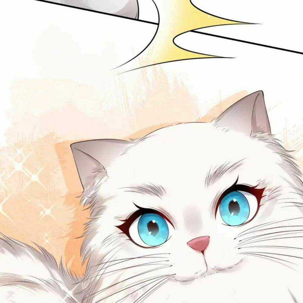 Nam Thần Ai Cũng Muốn Lấy Ta Chapter 26 trang 36