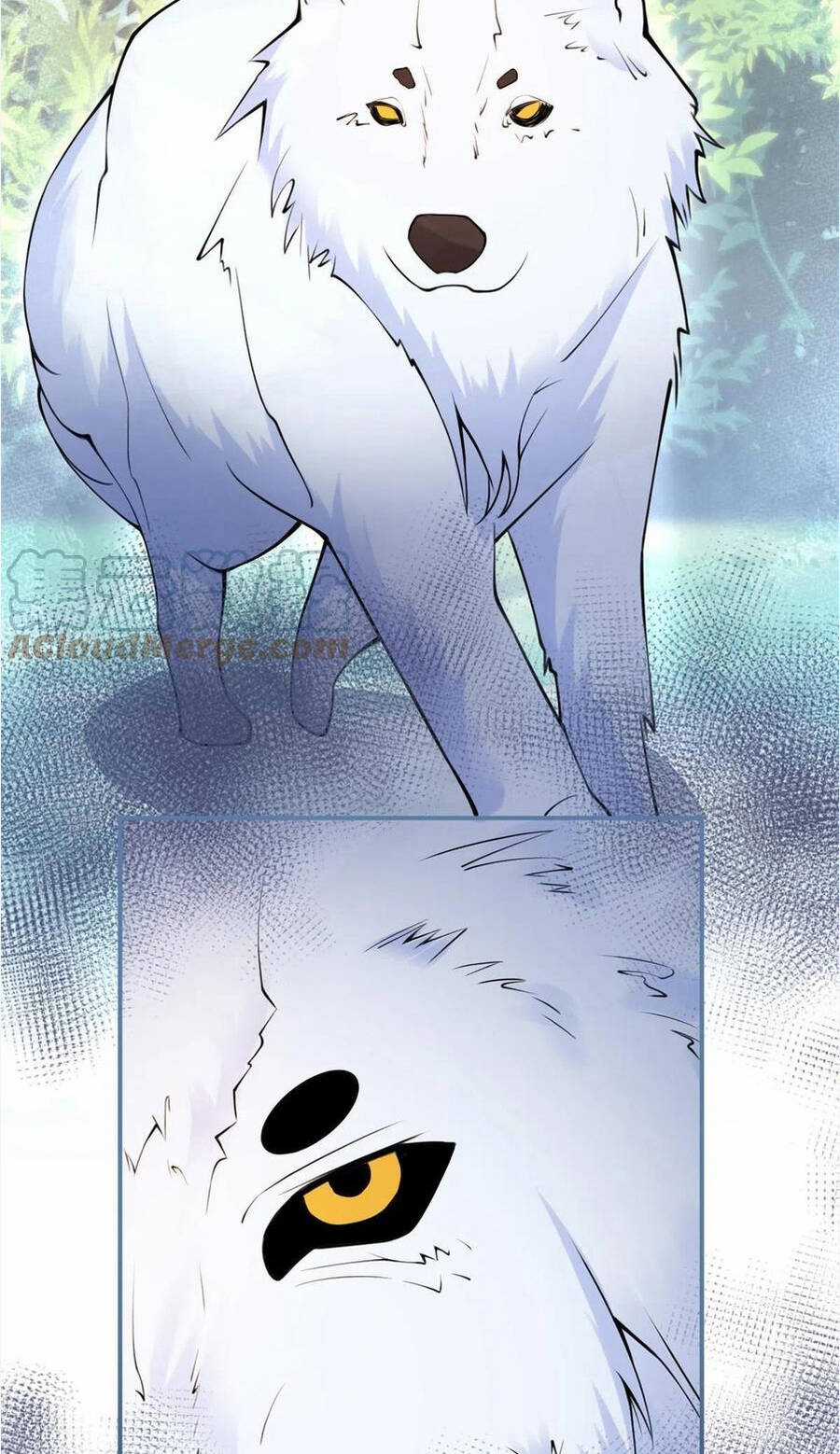 Nam Thành Chờ Trăng Về Chapter 278 trang 6