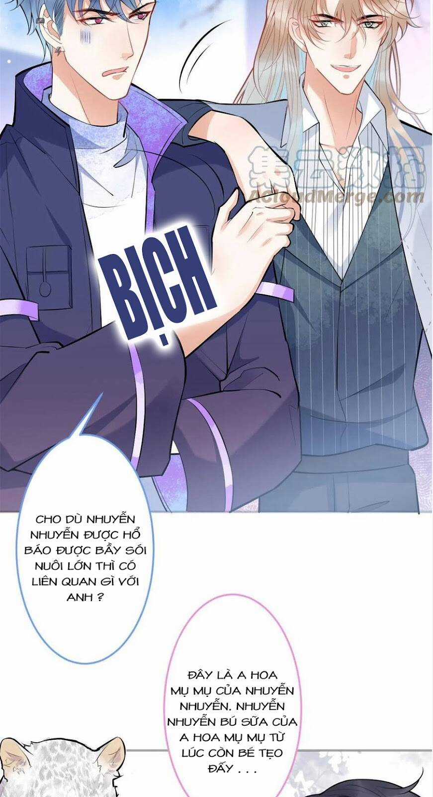 Nam Thành Chờ Trăng Về Chapter 279 trang 7