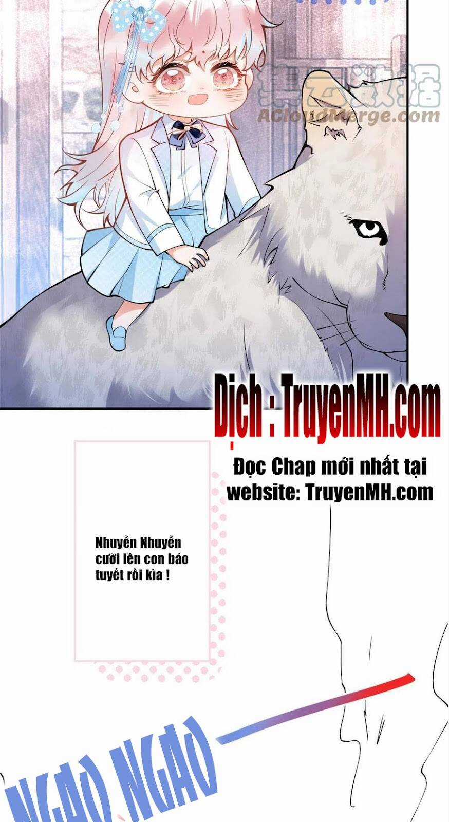 Nam Thành Chờ Trăng Về Chapter 282 trang 5