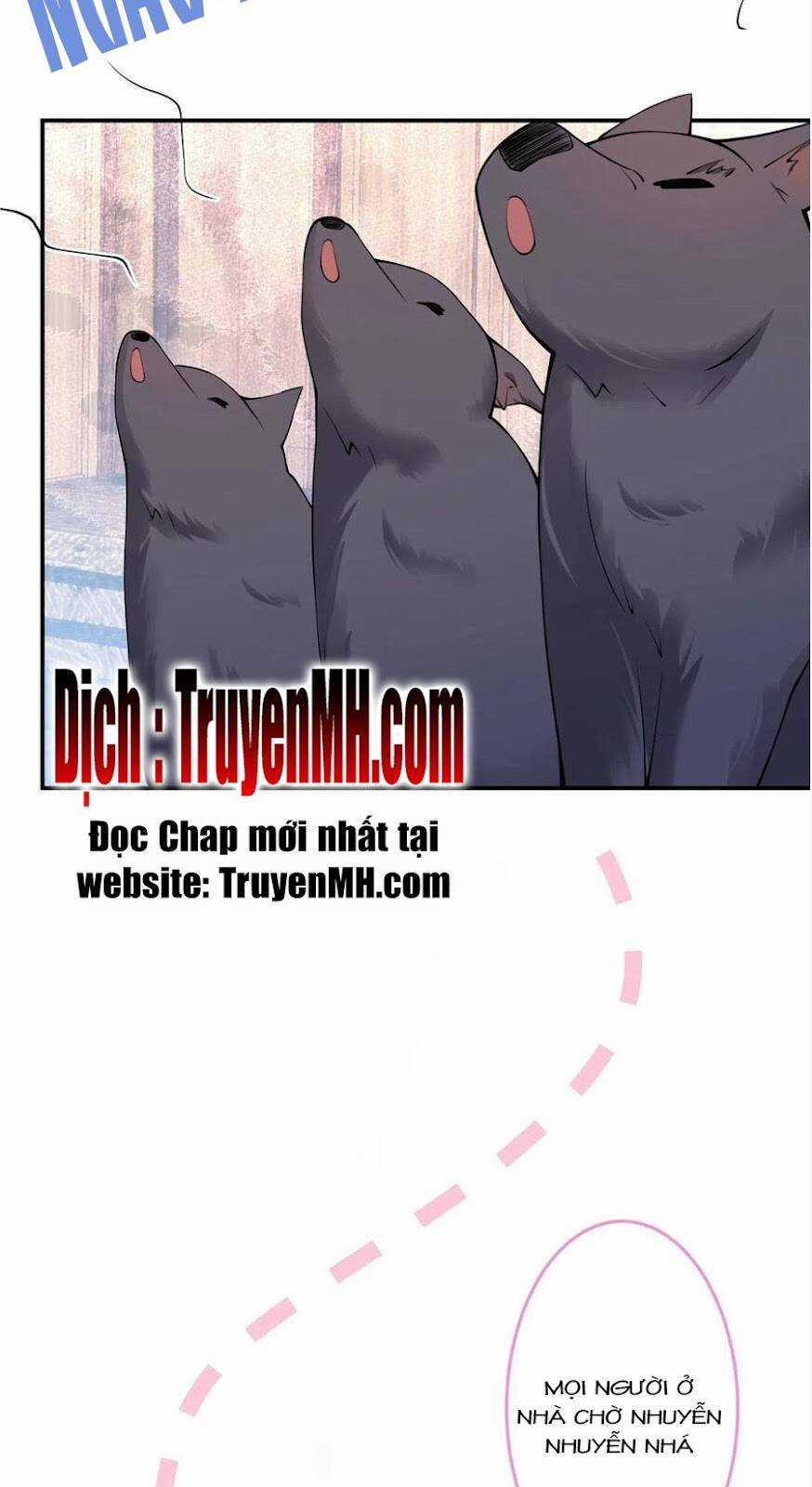 Nam Thành Chờ Trăng Về Chapter 282 trang 6