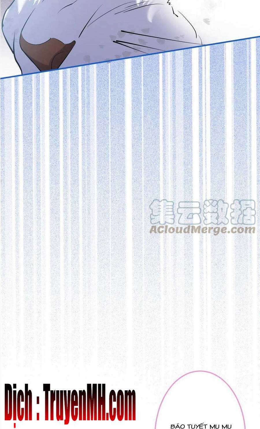 Nam Thành Chờ Trăng Về Chapter 293 trang 19