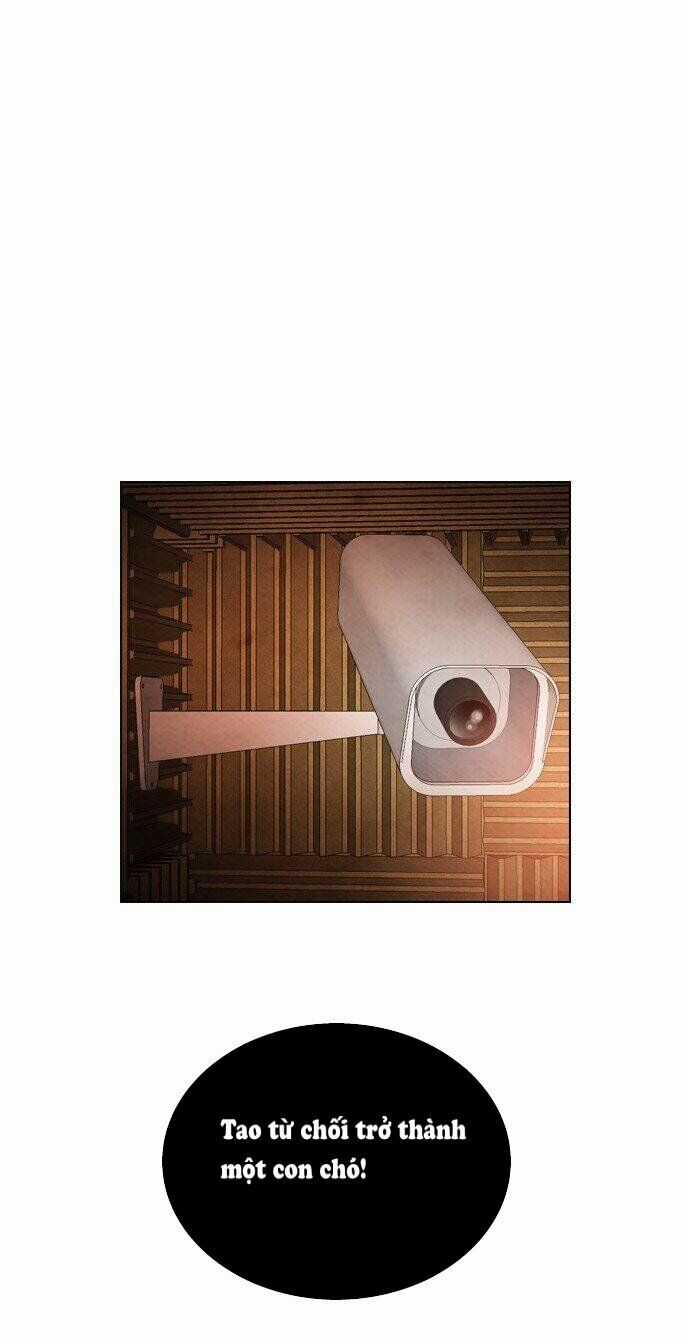 Nạn Nhân Hồi Sinh Chapter 28.2 trang 13