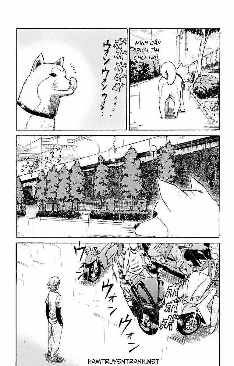 Nanba Mg5 Chapter 10 trang 2