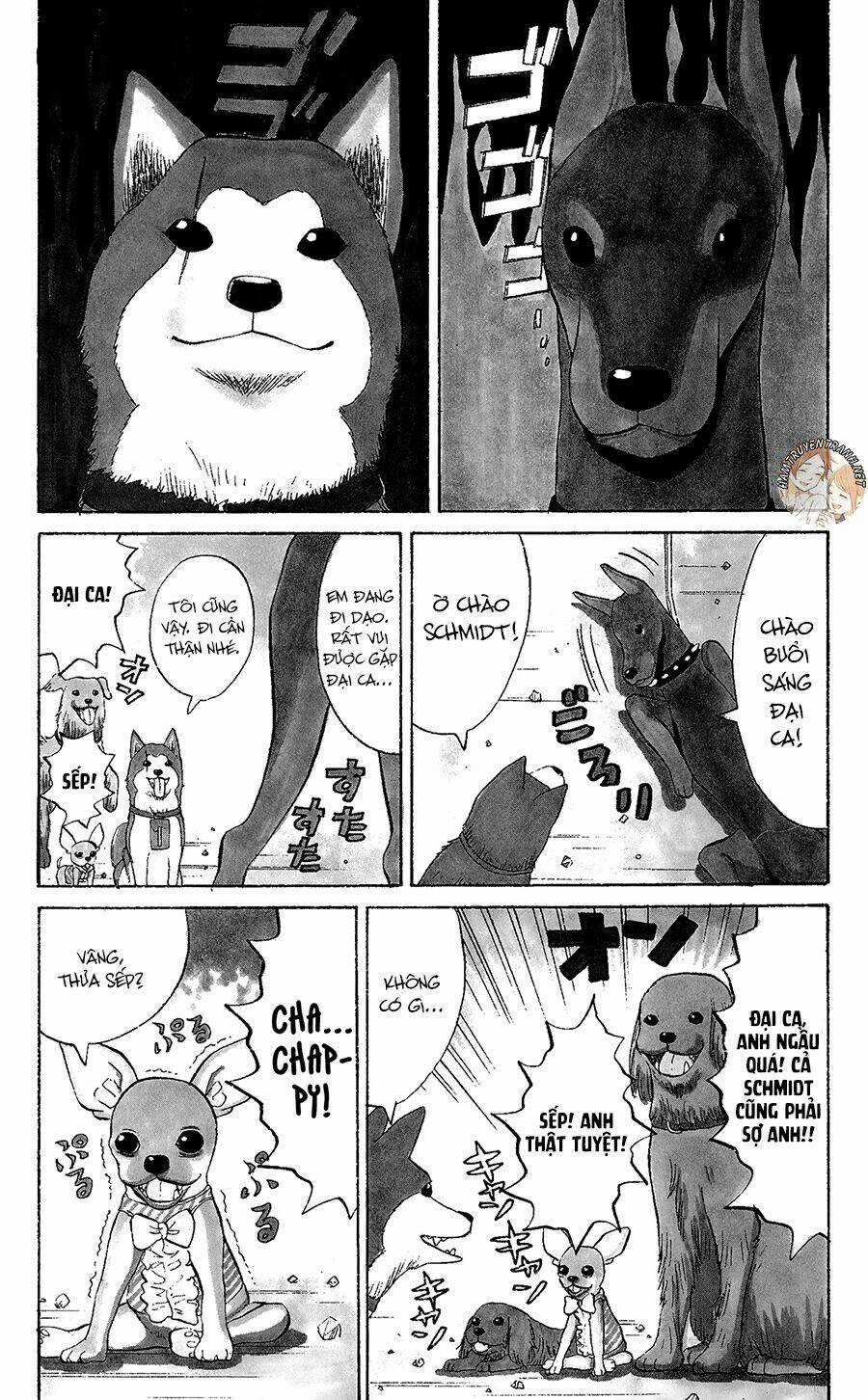 Nanba Mg5 Chapter 34.5 trang 3