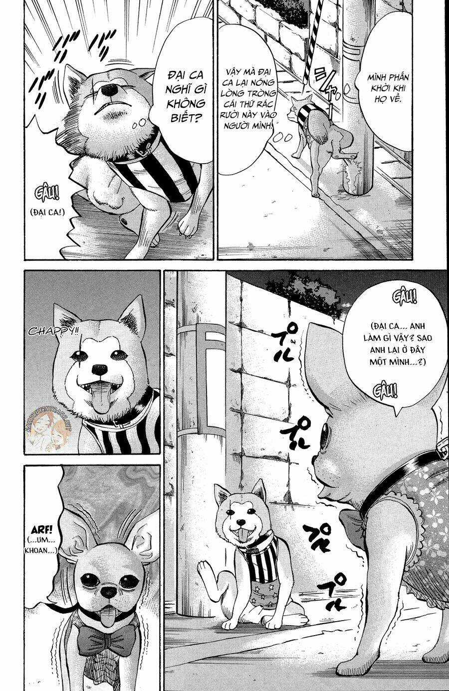 Nanba Mg5 Chapter 42 trang 10