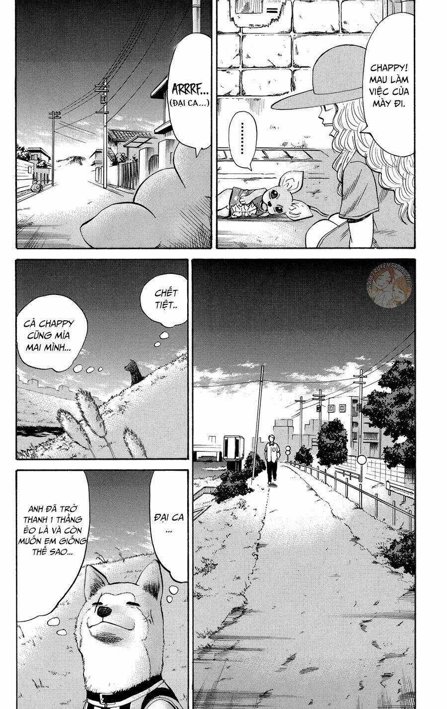 Nanba Mg5 Chapter 42 trang 12