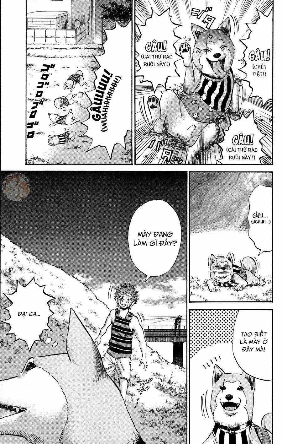 Nanba Mg5 Chapter 42 trang 13