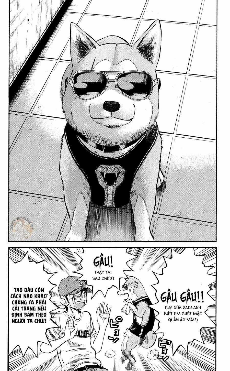 Nanba Mg5 Chapter 42 trang 20