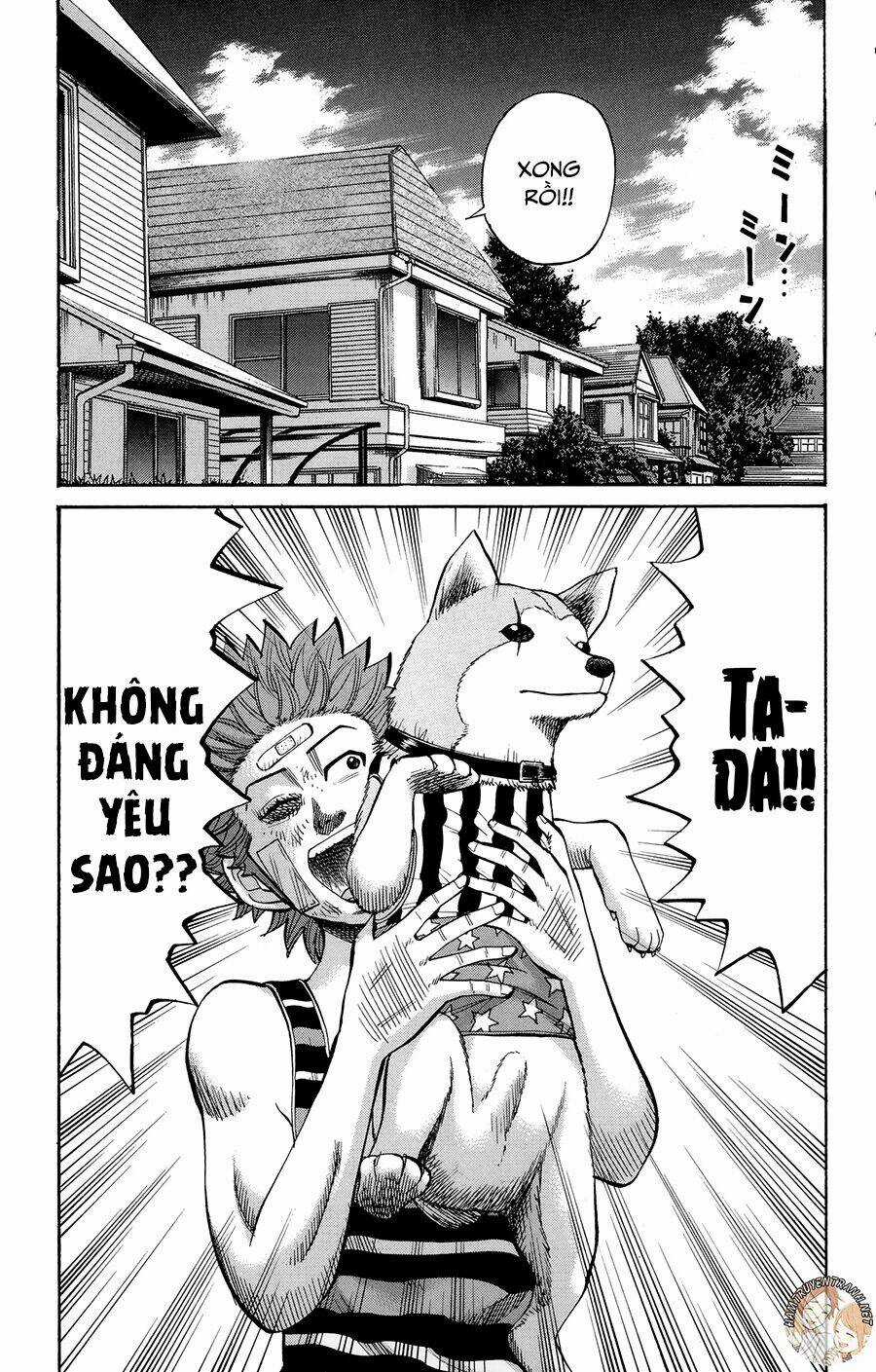 Nanba Mg5 Chapter 42 trang 5