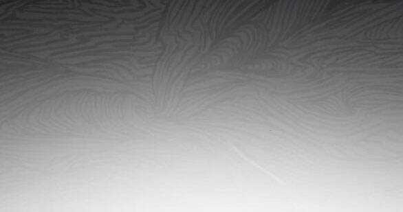 Nàng Bạo Chúa Muốn Có Một Cuộc Sống Hạnh Phúc Hơn! Chapter 48.2 trang 47