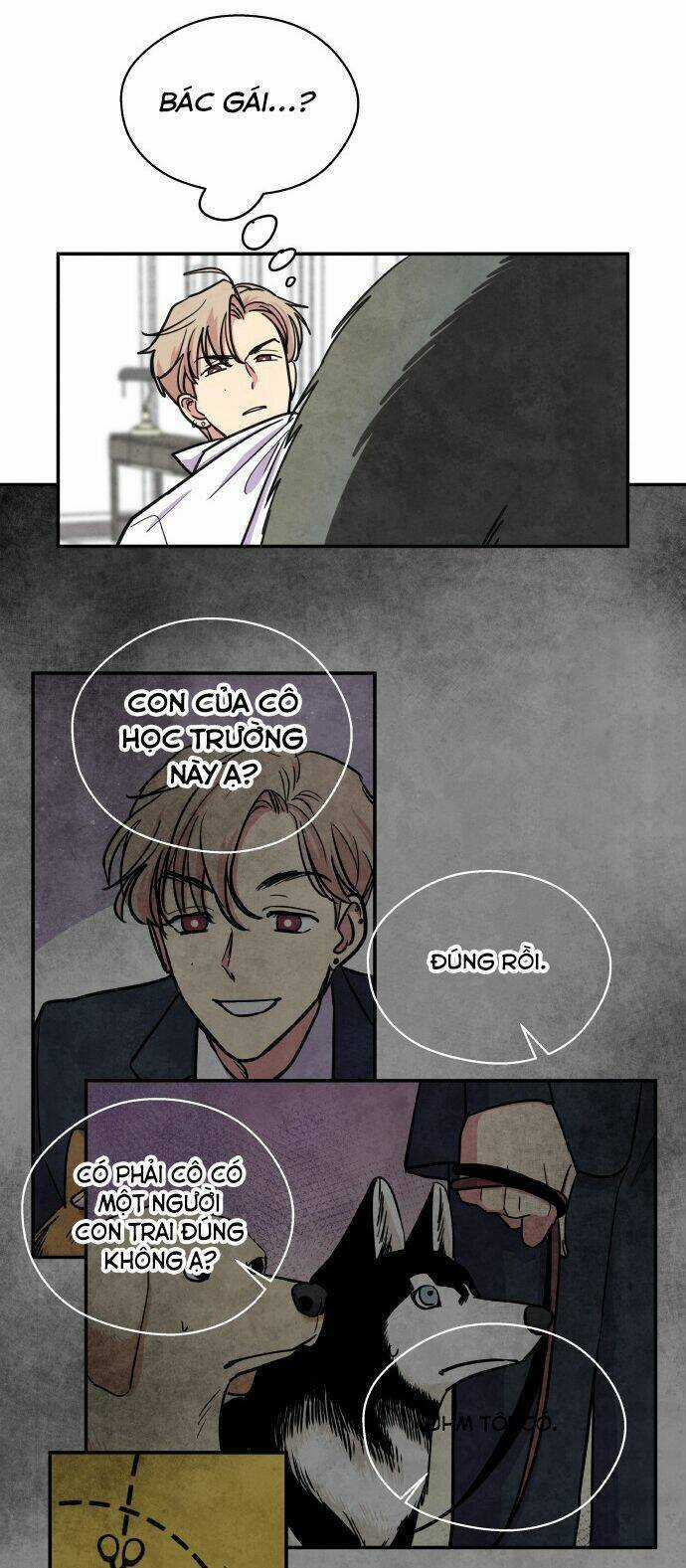 Nàng Chó Sói Và Chiếc Khăn Choàng Đỏ Chapter 35 trang 14