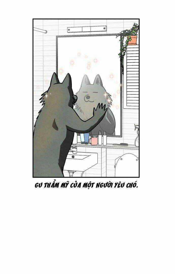 Nàng Chó Sói Và Chiếc Khăn Choàng Đỏ Chapter 38 trang 60