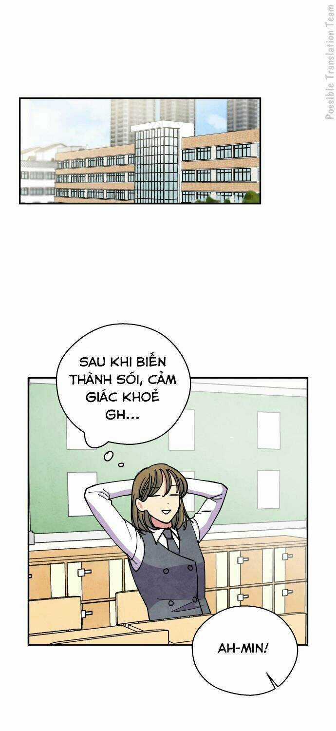 Nàng Chó Sói Và Chiếc Khăn Choàng Đỏ Chapter 39 trang 2