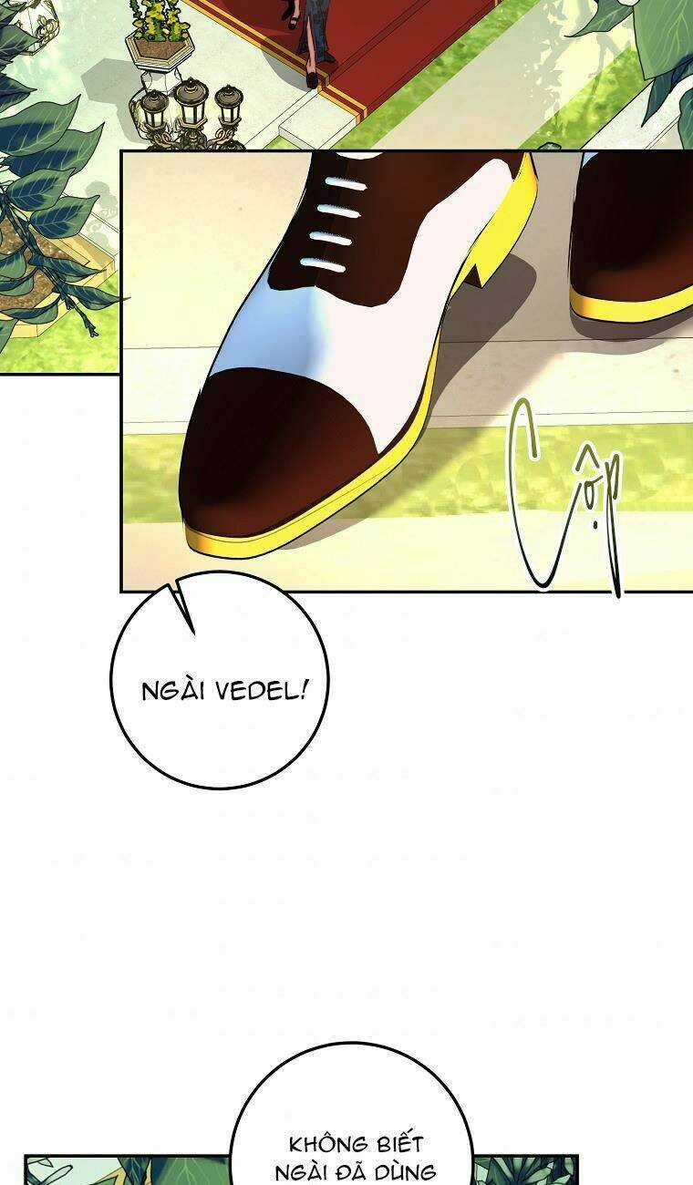 Nàng Công Chúa Ấy Đã Trở Thành Một Đoá Hoa Điên Dại Chapter 11 trang 43