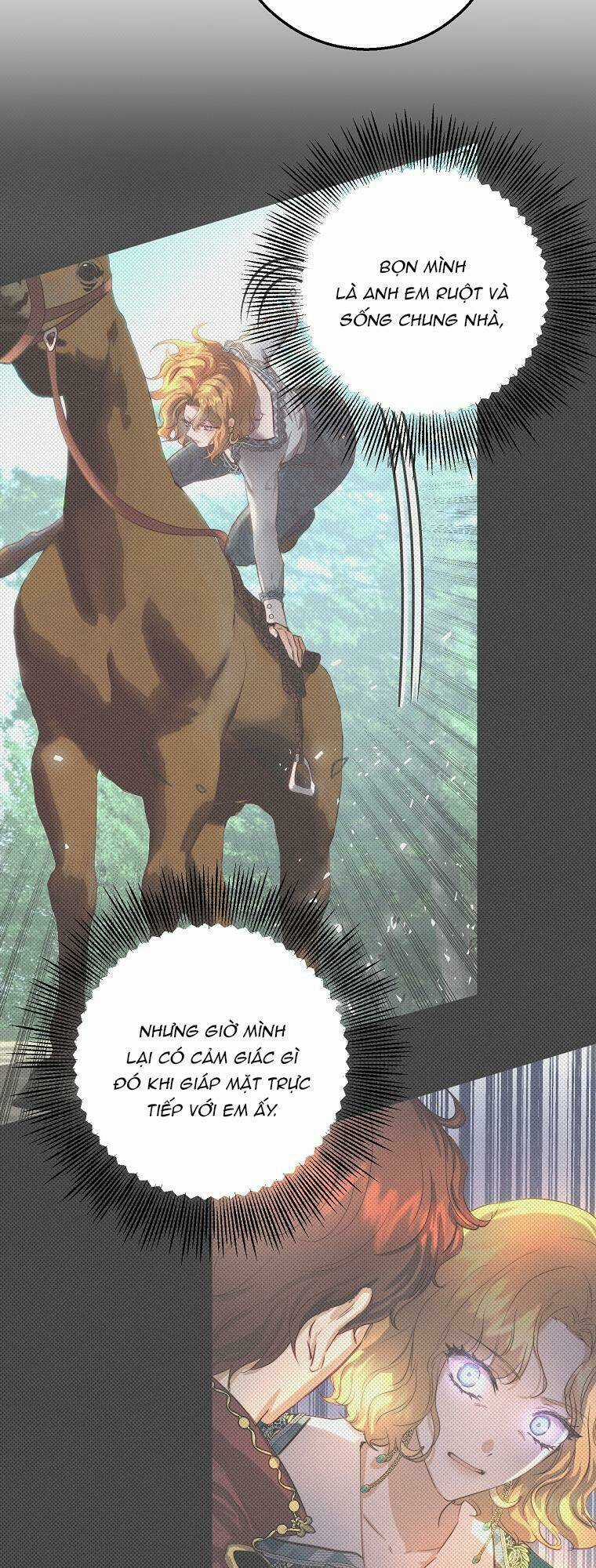 Nàng Công Chúa Ấy Đã Trở Thành Một Đoá Hoa Điên Dại Chapter 20 trang 27