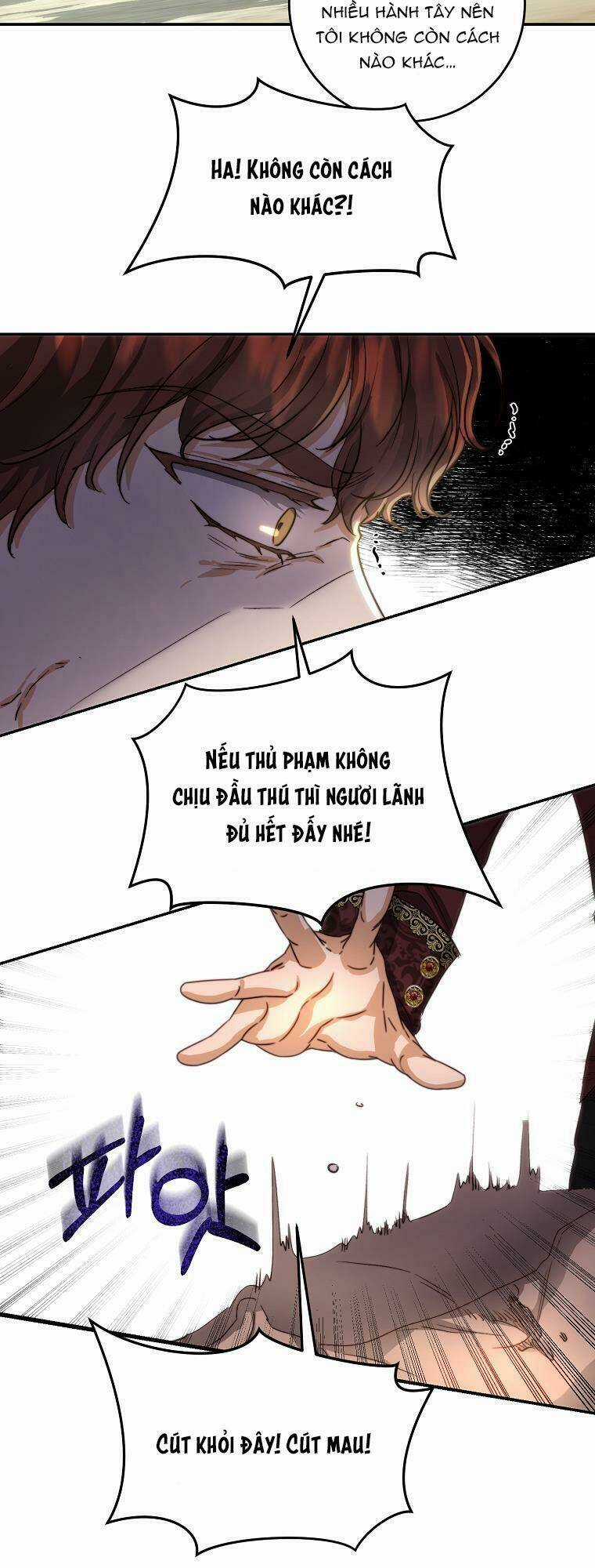 Nàng Công Chúa Ấy Đã Trở Thành Một Đoá Hoa Điên Dại Chapter 20 trang 8