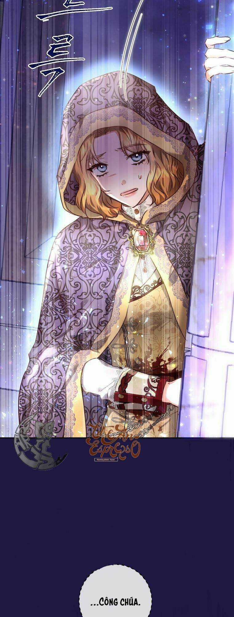 Nàng Công Chúa Ấy Đã Trở Thành Một Đoá Hoa Điên Dại Chapter 5 trang 33