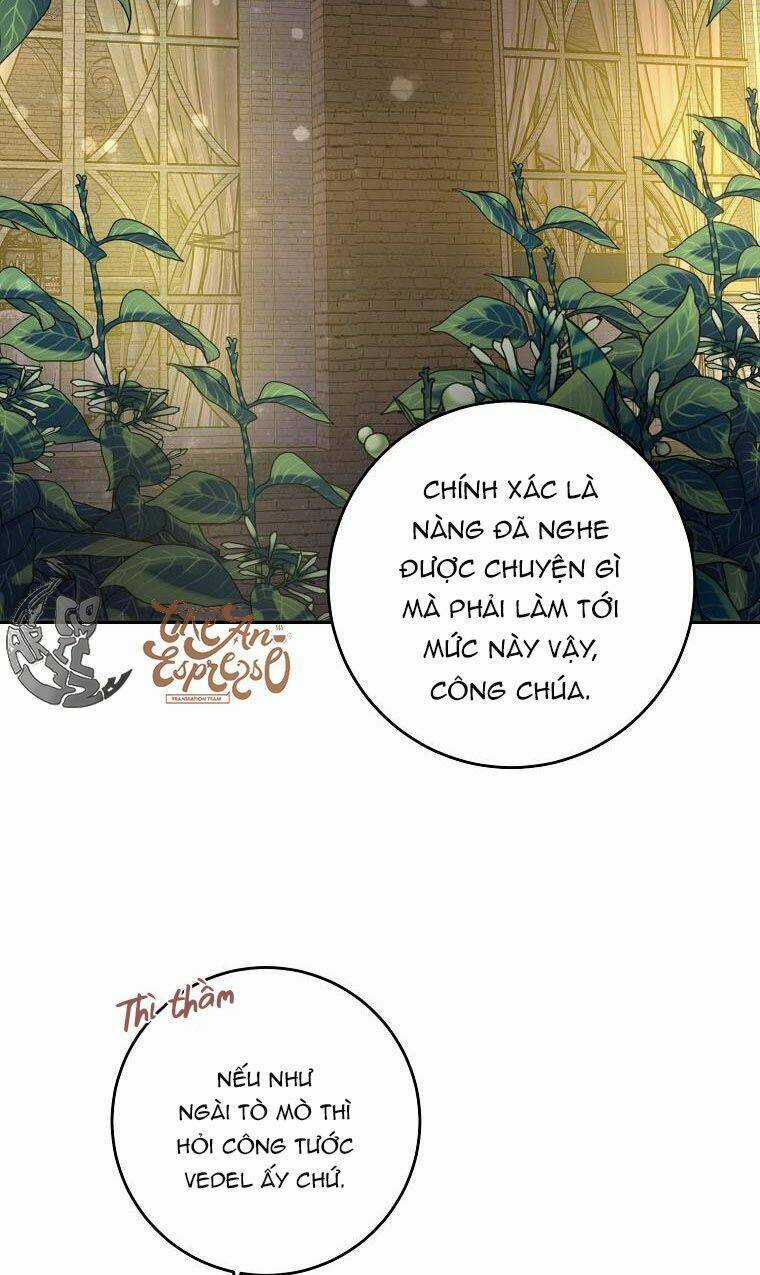 Nàng Công Chúa Ấy Đã Trở Thành Một Đoá Hoa Điên Dại Chapter 8 trang 50