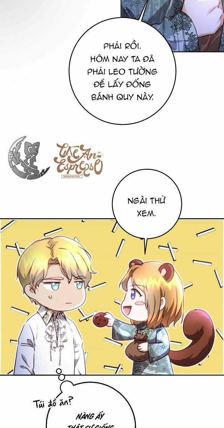 Nàng Công Chúa Ấy Đã Trở Thành Một Đoá Hoa Điên Dại Chapter 9 trang 28