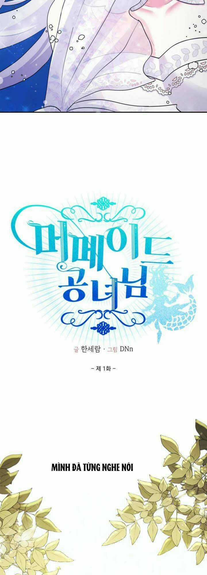 Nàng Công Chúa Tiên Cá Chapter 1 trang 17