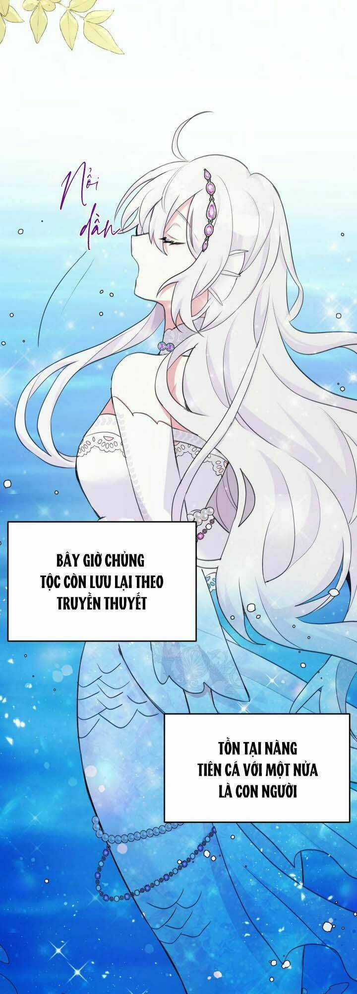 Nàng Công Chúa Tiên Cá Chapter 1 trang 18