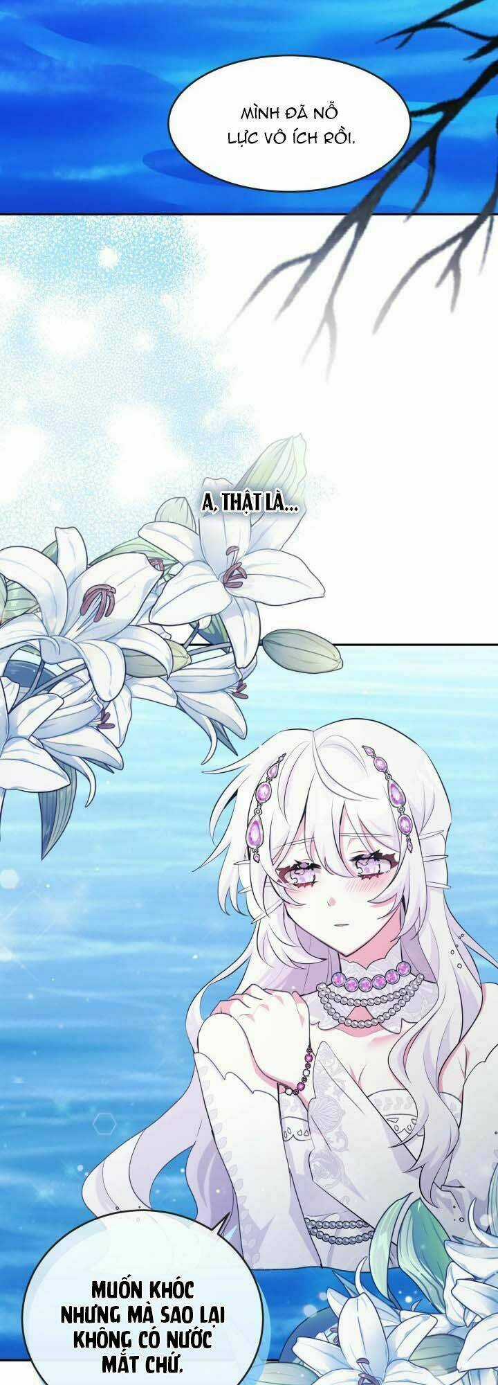 Nàng Công Chúa Tiên Cá Chapter 1 trang 27