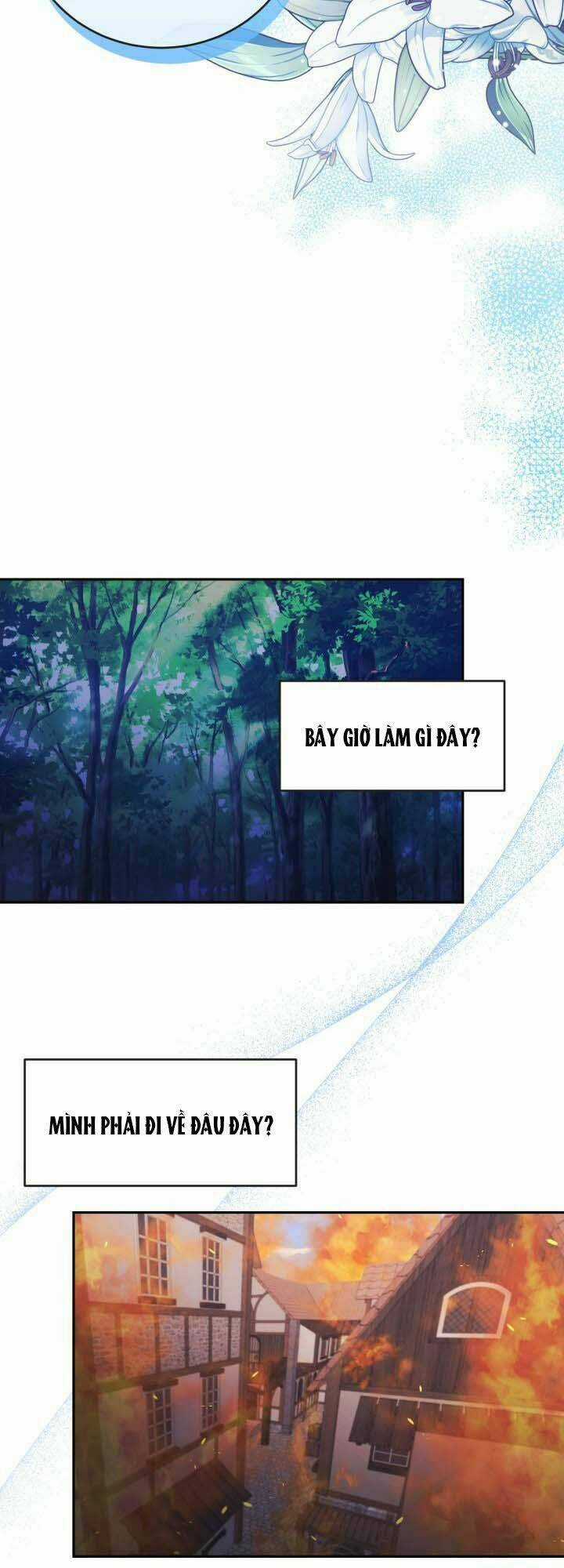 Nàng Công Chúa Tiên Cá Chapter 1 trang 28