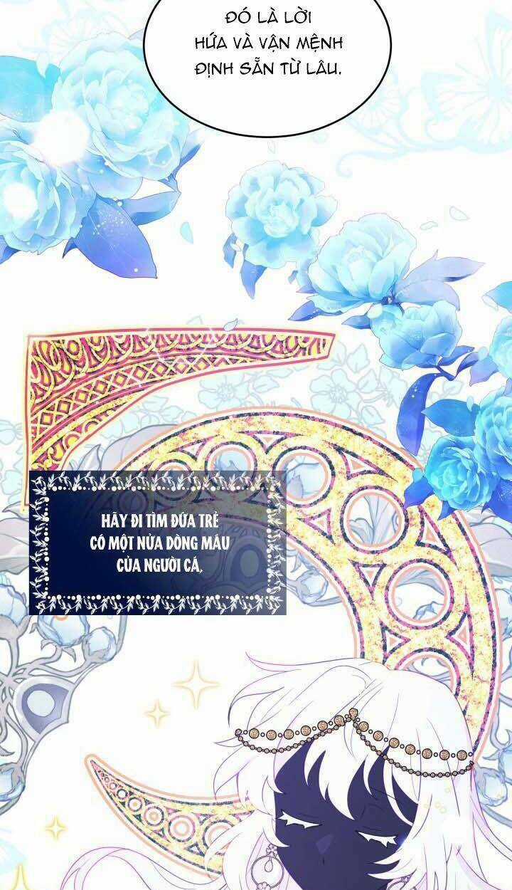 Nàng Công Chúa Tiên Cá Chapter 3 trang 12