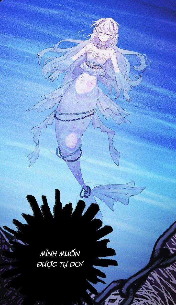 Nàng Công Chúa Tiên Cá Chapter 4 trang 4