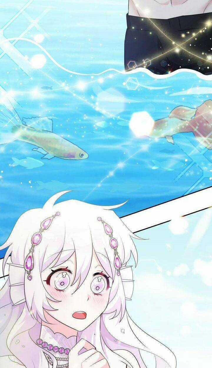 Nàng Công Chúa Tiên Cá Chapter 5 trang 5