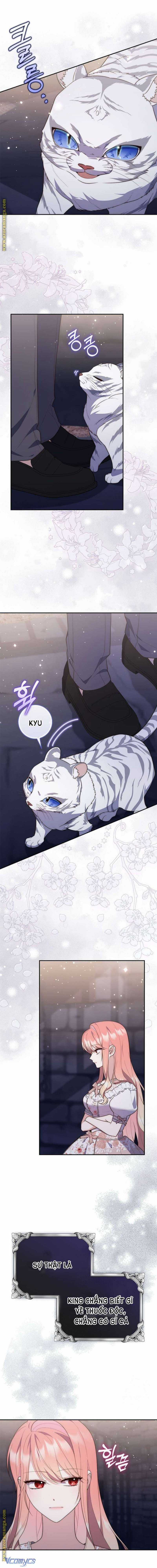 Nàng Công Chúa Tiên Tri Chapter 77 trang 11