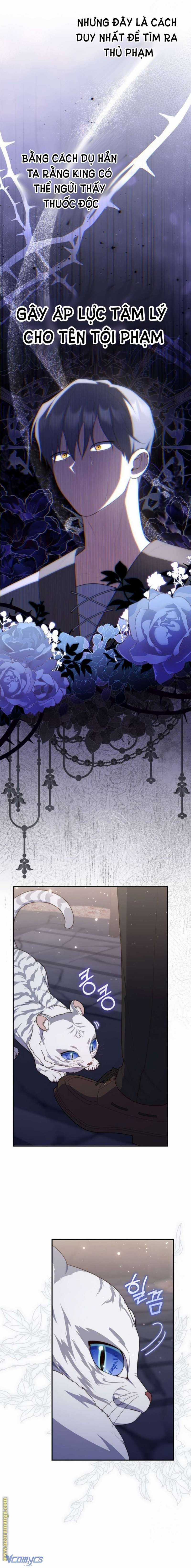 Nàng Công Chúa Tiên Tri Chapter 77 trang 12