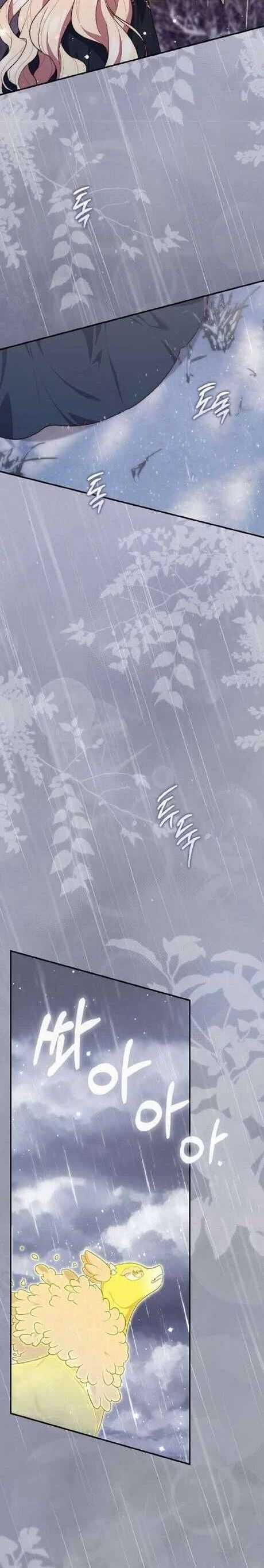 Nàng Công Chúa Tiên Tri Chương 95 trang 26