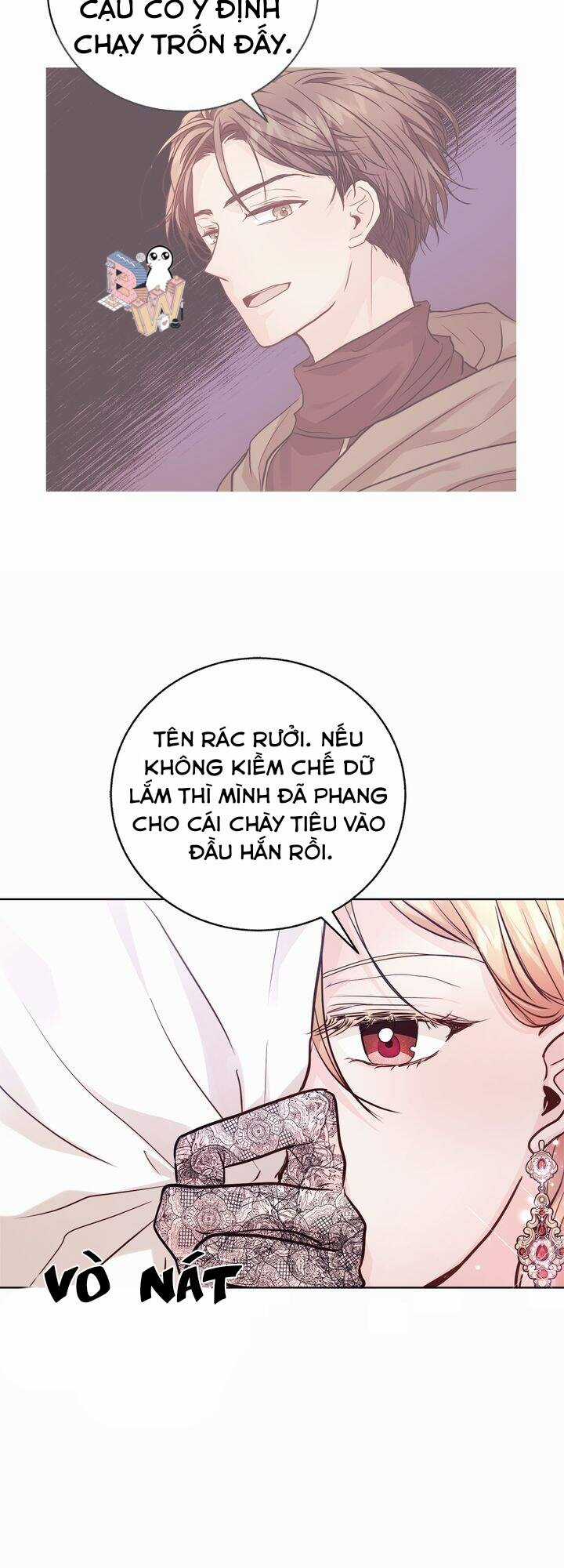 Nàng Dâu Bí Ẩn Của Bạch Sư Tử Chapter 2 trang 38