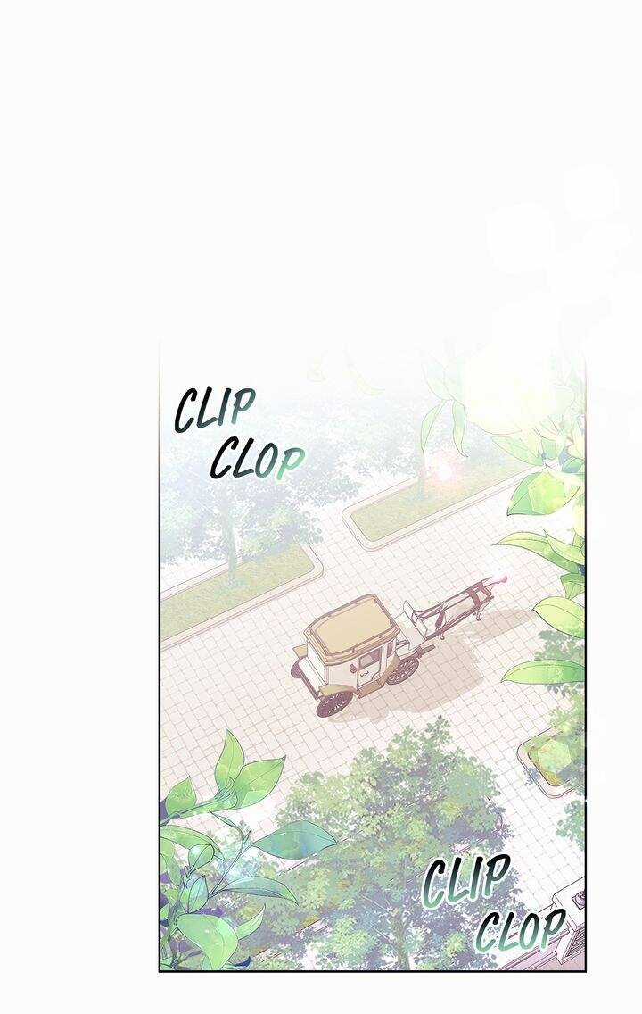 Nàng Dâu Bí Ẩn Của Bạch Sư Tử Chapter 2 trang 39