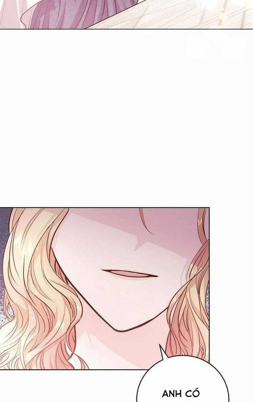 Nàng Dâu Bí Ẩn Của Bạch Sư Tử Chapter 5 trang 65