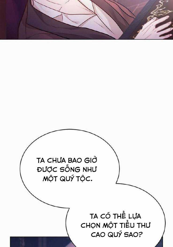 Nàng Dâu Bí Ẩn Của Bạch Sư Tử Chapter 6 trang 43