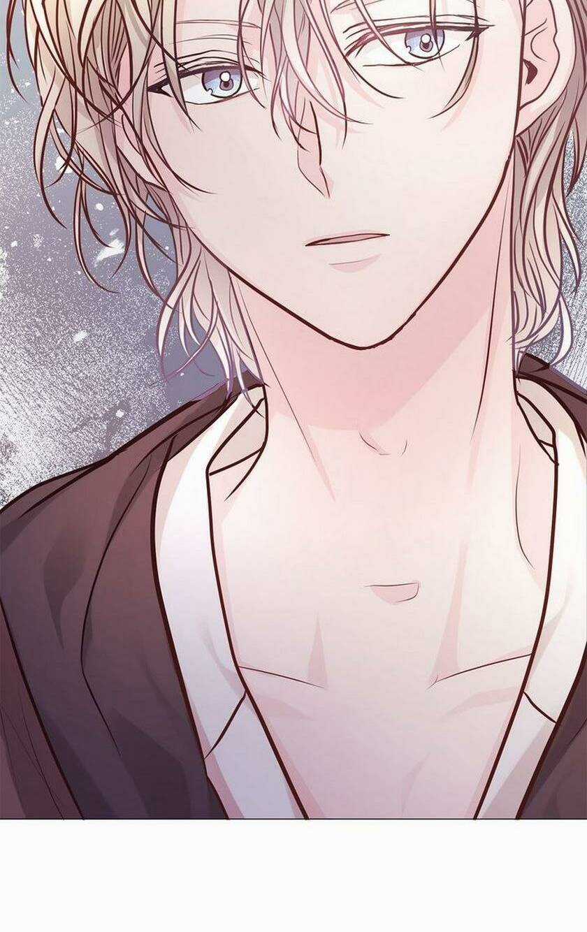 Nàng Dâu Bí Ẩn Của Bạch Sư Tử Chapter 7 trang 49