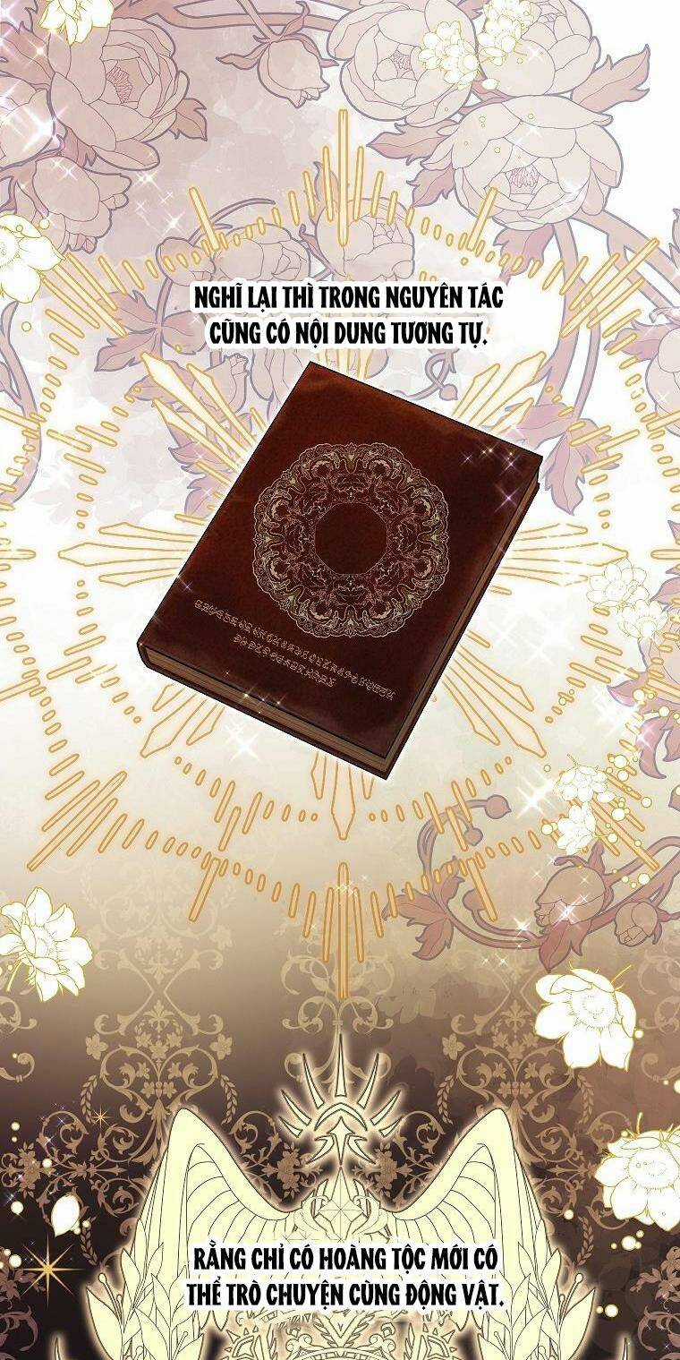 Nàng Dâu Nuôi Muốn Đứt Tình Đoạn Nghĩa Chapter 37 trang 39