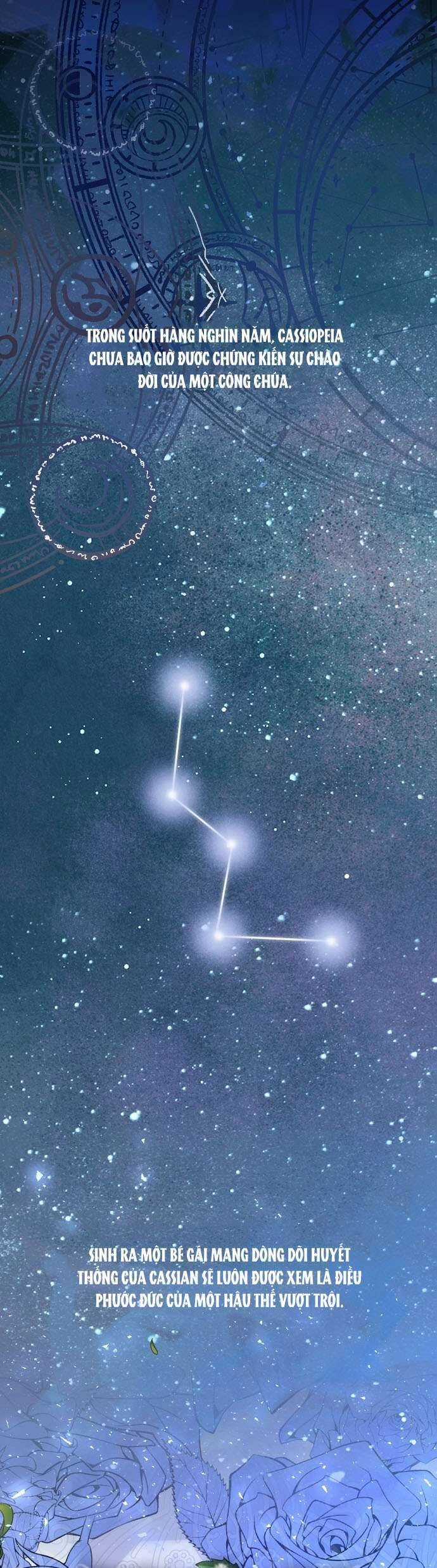 Nàng Dâu Thế Thân Của Bạo Chúa Chapter 5 trang 13